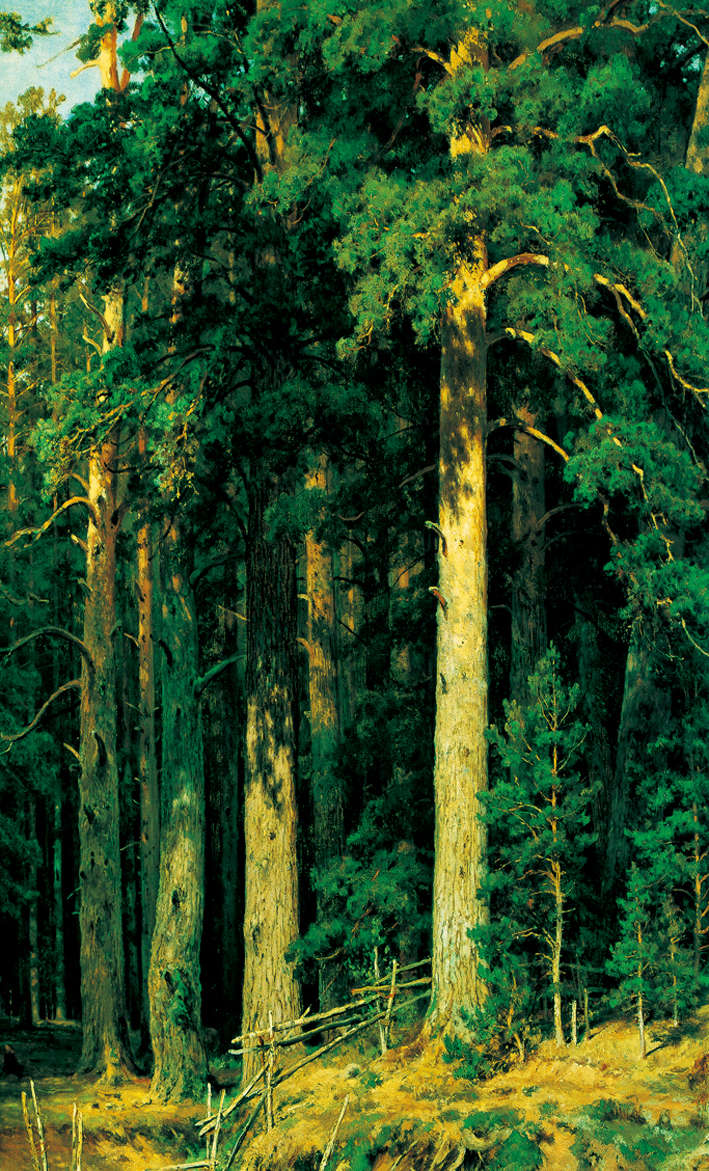  伊凡·伊凡诺维奇·希施金 Ivan I. Shishkin —— Ivan Shishkin-092